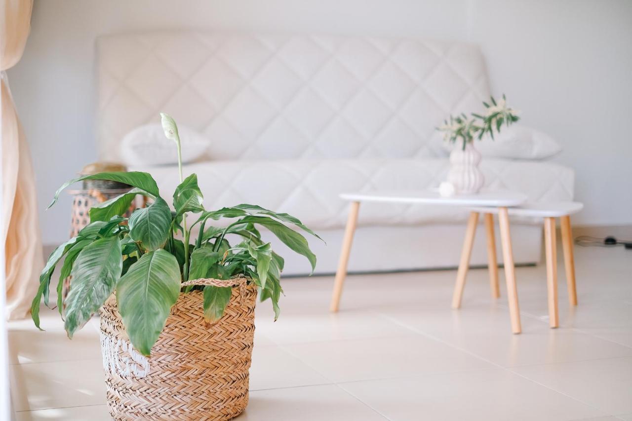 Apartmán Oasis Garden House Nea Iraklitsa Exteriér fotografie